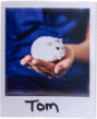 _0000_pet-polaroid-1 Tom
