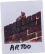 _0007_pet-polaroid-8 Artoo the Squirrel