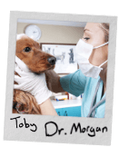 vet-team-polaroid-4 Veterinary Team - Toby & Dr. Morgan